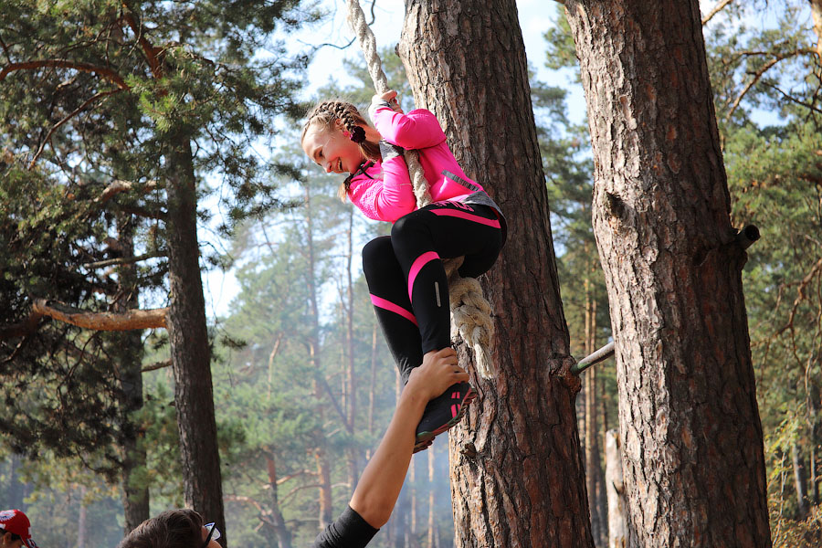 Робототехника